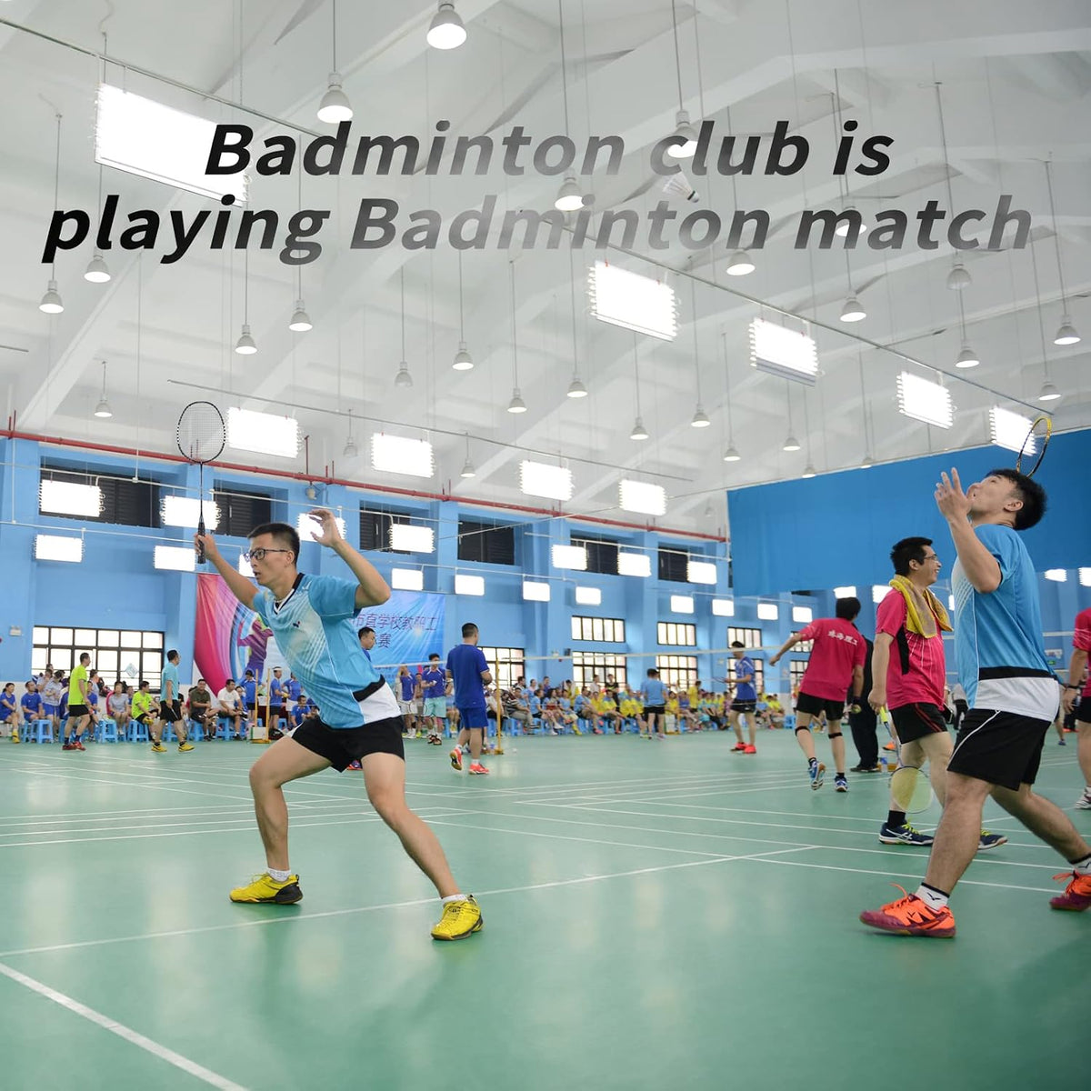 Professional Badminton Rackets Set of 4 Sports Outdoor Backyard or Indoor Badminton Game Set with Shuttlecocks- Includes 4 Black Rackets, 12 Duck Feather Badminton Shuttlecocks